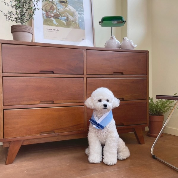 페오펫몰,[우다다다] 명절 한복 케이프