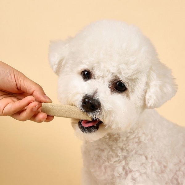 페오펫몰,[페슬러] 메디멀 독 가글츄 10p