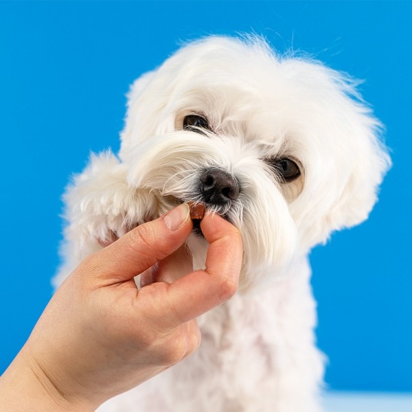 페오펫몰,[페슬러] 오메가 브레인트릿 오리맛 170g 칭찬 훈련 간식