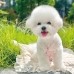 썸네일(스크롤)