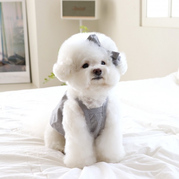 페오펫몰,[댕캉스특가] 쉬오트 베이비 벌룬 탑 (차콜)