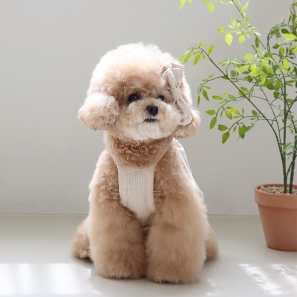 페오펫몰,[댕캉스특가] 쉬오트 베이비 벌룬 탑 (버터베이지)