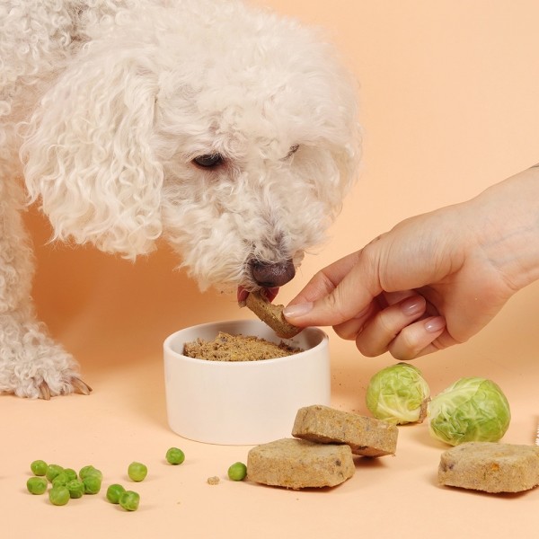 페오펫몰,[알로키친] 강아지 자연식 오메가비프 (소&오메가3) 16개입 (64g) #피부모질 #항산화