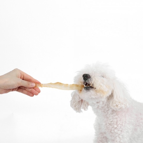 페오펫몰,[오래오래프로젝트] 칠면조 힘줄 스트립 L #100%미국산터키 #첨가물제로 #부드럽고오래먹는