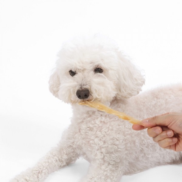 페오펫몰,[오래오래프로젝트] 칠면조 힘줄 스트립 L #100%미국산터키 #첨가물제로 #부드럽고오래먹는