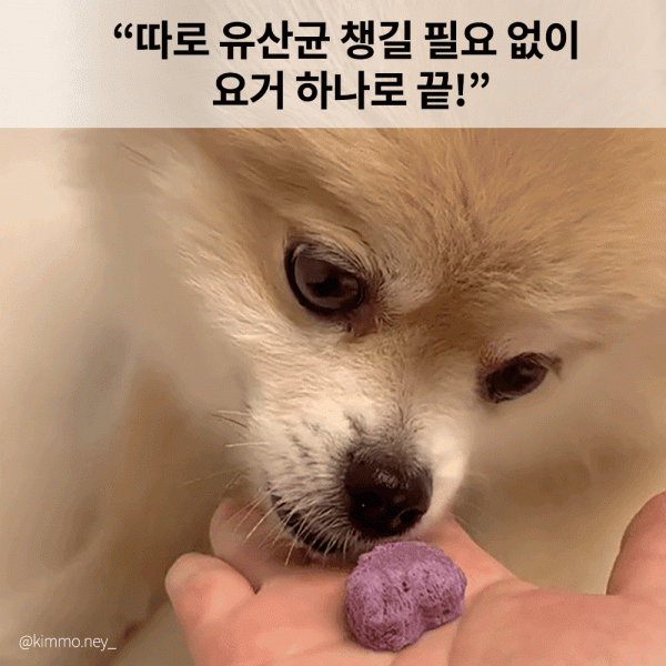 페오펫몰,[알로키친] 강아지 유기농 생과일 요거트 4종 #범산목장 #유산균