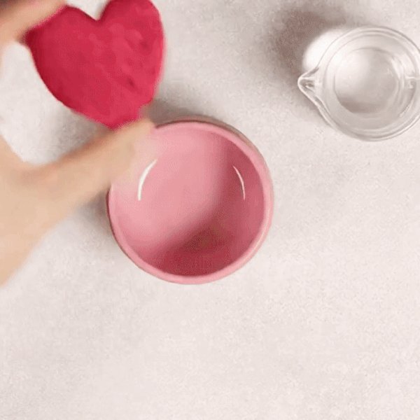 페오펫몰,[알로키친] 디톡스베지 레드 (항산화 면역) 15개입 #디톡스끝판왕 #야채퓨레