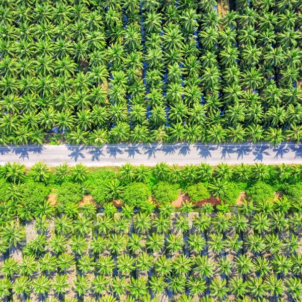 페오펫몰,[2개세트] 알로키친 알로칩스 후르츠믹스 #애플망고 #바나나 #사과