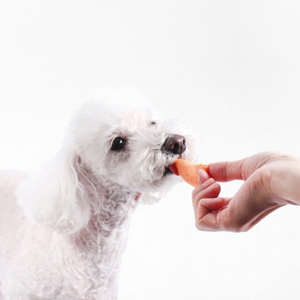 페오펫몰,[2개세트] 알로키친 알로칩스 적양배추칩