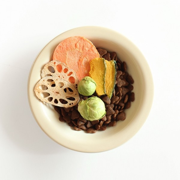 페오펫몰,[2개세트] 알로키친 알로칩스 적양배추칩