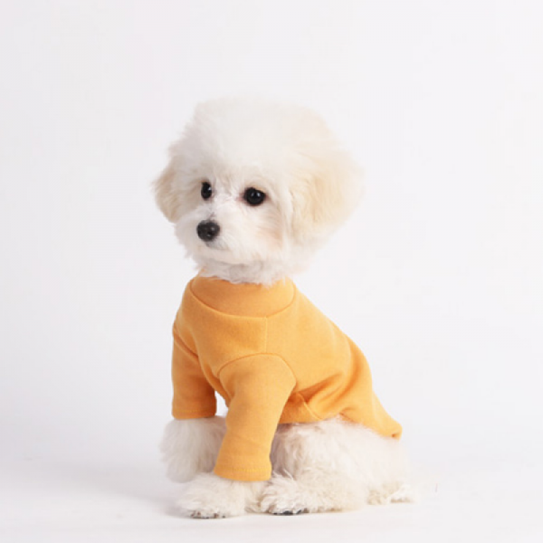 페오펫몰,러브핫핏 베이직 터들넥_진노랑