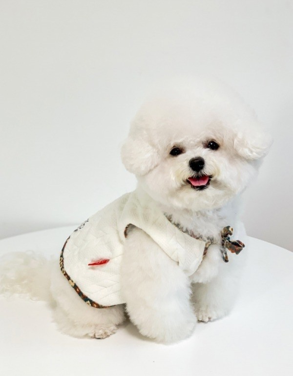 페오펫몰,러브핫핏 양면 착용 가능한 강아지 리버시블 플라워 베스트+모자 세트