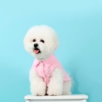 러브핫핏 린넨 셔츠 LINEN SHIRT[LIGHT PINK]