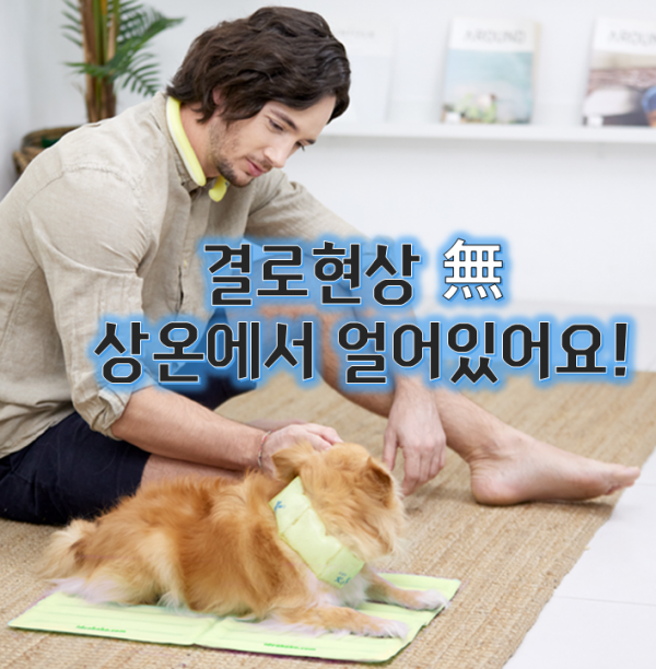 페오펫몰,[여름맞이특가]icicool 아이시쿨 매트 결로현상X 휴대가 간편! 상온에서 얼어있는 신개념 쿨링매트