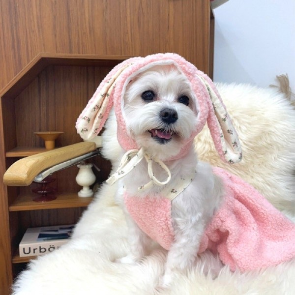 반려미인 강아지 옷 귀여운 토끼 룩