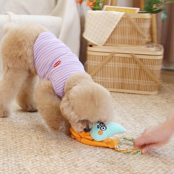 페오펫몰,[오드펫] 또또또 꿈틀이 올인원 장난감 5종