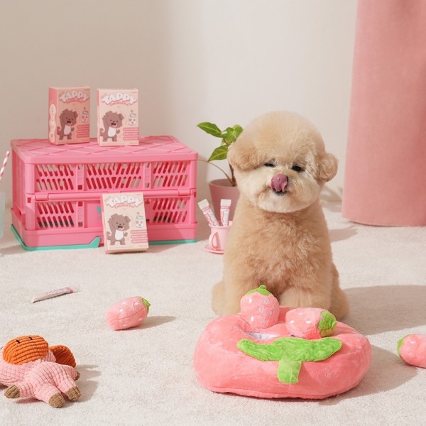 페오펫몰,펫생각 하루조이 테피 타먹는 강아지 비타민 딸기&요거트