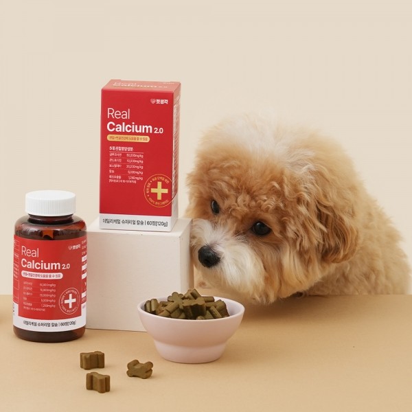 페오펫몰,펫생각 강아지 관절영양제 슬개골탈구 관절염 질환 케어 120g