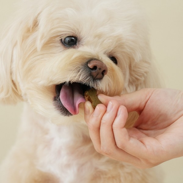 페오펫몰,펫생각 강아지 관절영양제 슬개골탈구 관절염 질환 케어 120g