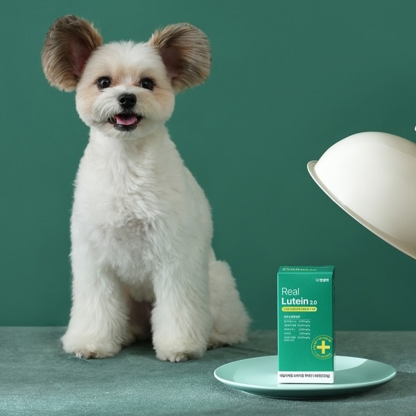 페오펫몰,펫생각 강아지 눈 눈물자국 냄새 백내장 루테인 영양제 120g