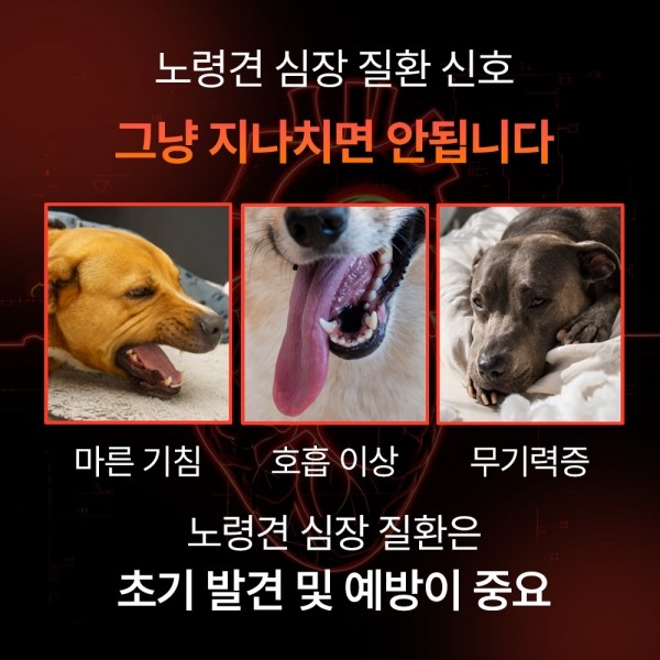 페오펫몰,펫생각 강아지 리포좀 심장 도움 하트 영양제 120g 60정