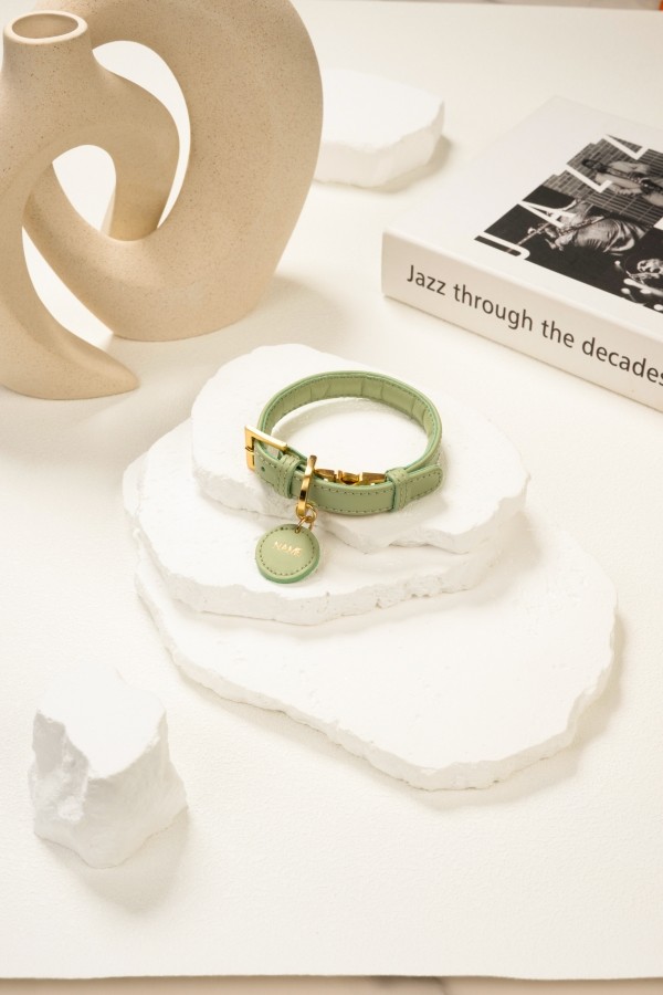 페오펫몰,도게스트로 데일리 목줄