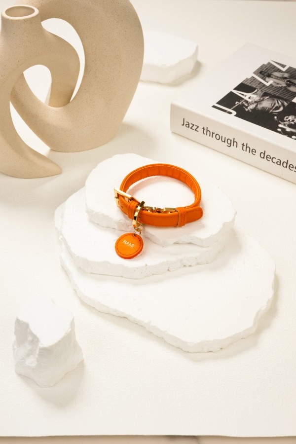 페오펫몰,도게스트로 데일리 목줄