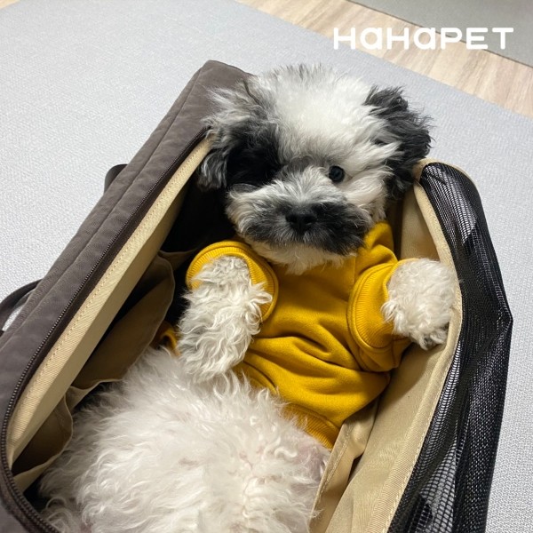 페오펫몰,하하펫 기내가능 강아지이동가방 코지백 2colors