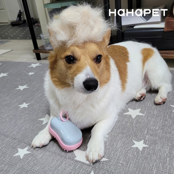 페오펫몰,하하펫 양면 소프트 강아지브러쉬 2colors