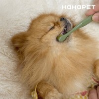 하하펫 반려동물 듀얼모 강아지칫솔 2colors