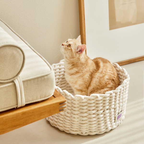 페오펫몰,피도테일 고양이 코튼 니트 바구니 숨숨집 (2색상)