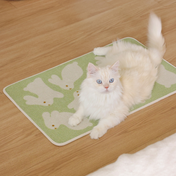 페오펫몰,피도테일 아트 포스터 스크래쳐 매트 (토끼 친구들)