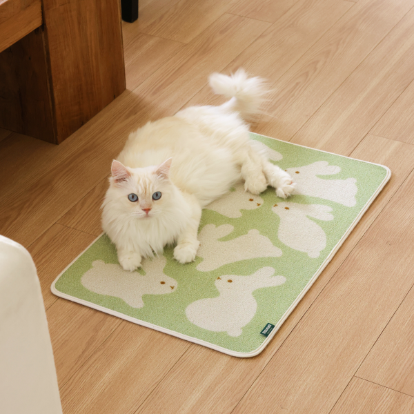 페오펫몰,피도테일 아트 포스터 스크래쳐 매트 (토끼 친구들)