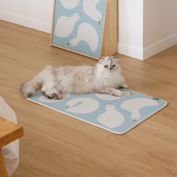 피도테일 아트 포스터 스크래쳐 매트 (오리 친구들)