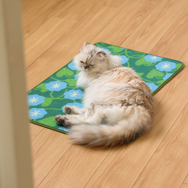 페오펫몰,피도테일 아트 포스터 스크래쳐 매트 (파란 나팔꽃)