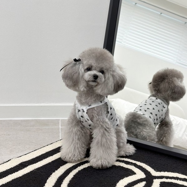 페오펫몰,디어아지 리본 크롭 나시 티 _화이트