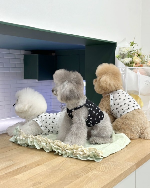 페오펫몰,디어아지 리본 크롭 나시 티 _화이트