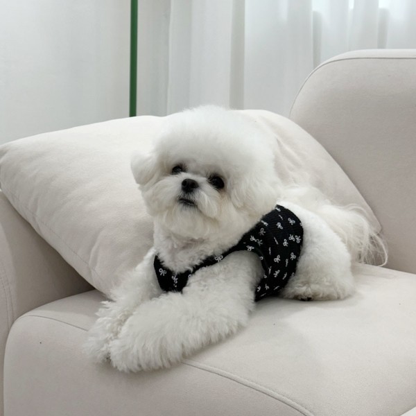 페오펫몰,디어아지 리본 크롭 나시 티 _블랙