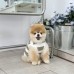 썸네일(스크롤)