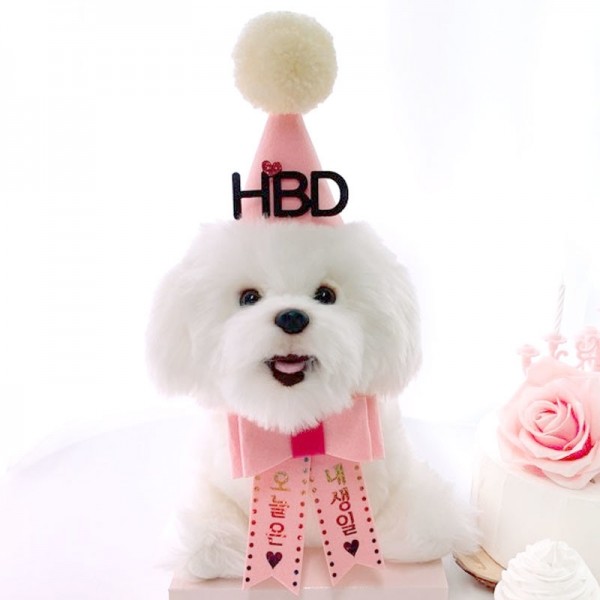 페오펫몰,[댕보양특가] HBD고깔화환세트