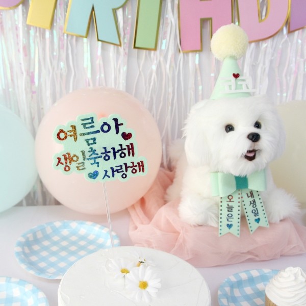 페오펫몰,생일파티세트