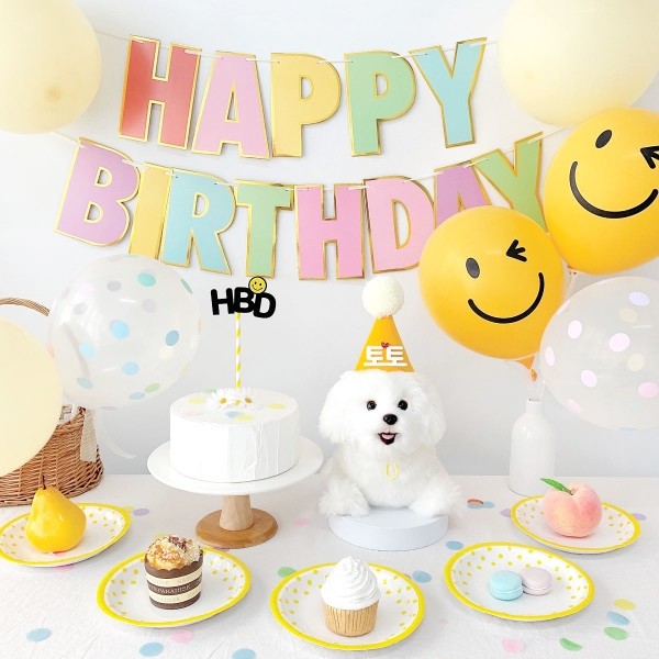 페오펫몰,스마일 생일파티세트