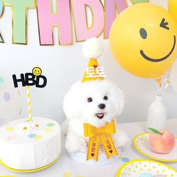 페오펫몰,스마일 생일파티세트