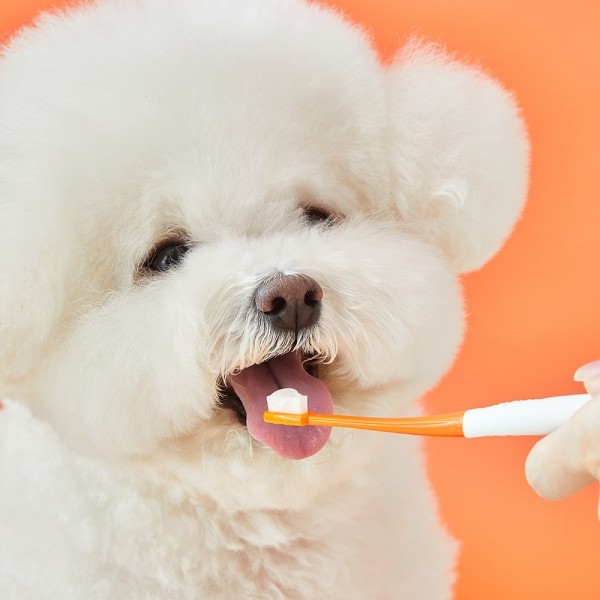 페오펫몰,리스펫 강아지 효소 바르는 치약 칫솔 세트 초극세사모 입냄새 100ml + 칫솔 2P