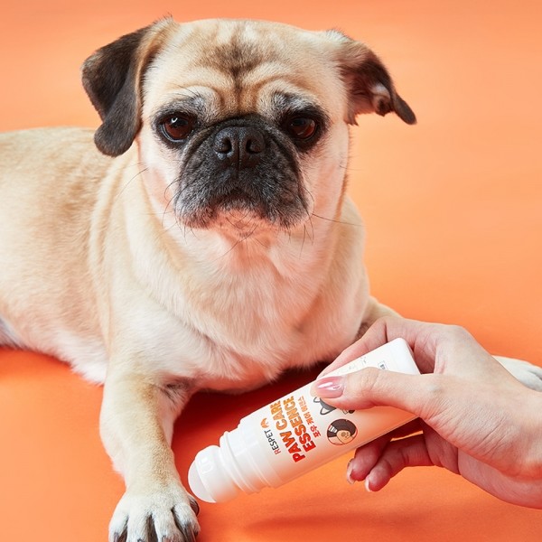 페오펫몰,리스펫 강아지 고양이 포우 케어 에센스