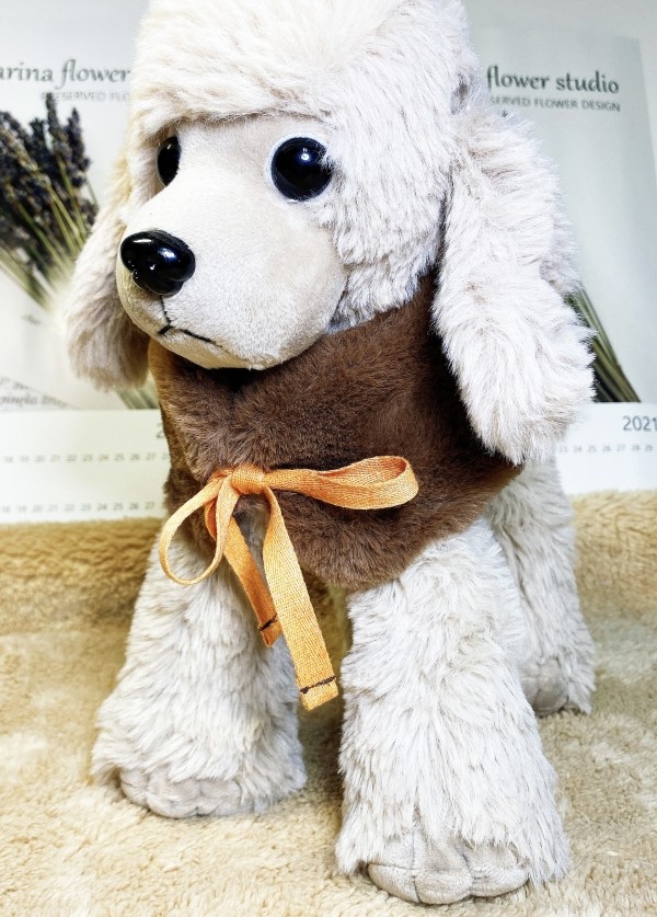 페오펫몰,[감사특가]체크안기모 스판티셔츠,강아지옷,스웻셔츠,애견옷,퍼스카프,채크리본