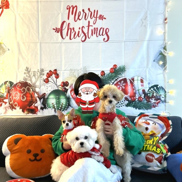 페오펫몰,[감사특가]크리스마스 화이트레이스 강아지 스웻셔츠,애견티셔츠,크리스마스애견옷