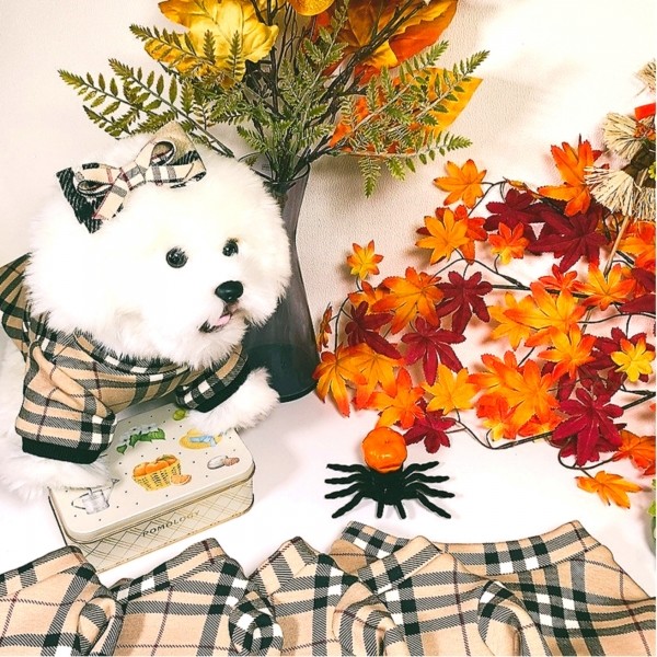 페오펫몰,[감사특가]체크안기모 스판티셔츠,강아지옷,스웻셔츠,애견옷,퍼스카프,채크리본