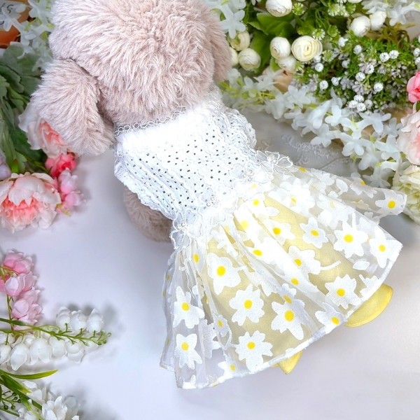 페오펫몰,플로피이얼스[꽃길특가]카밀리아 화이트드레스,강아지원피스