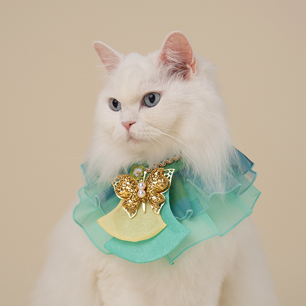 페오펫몰,HanBok Cape Green